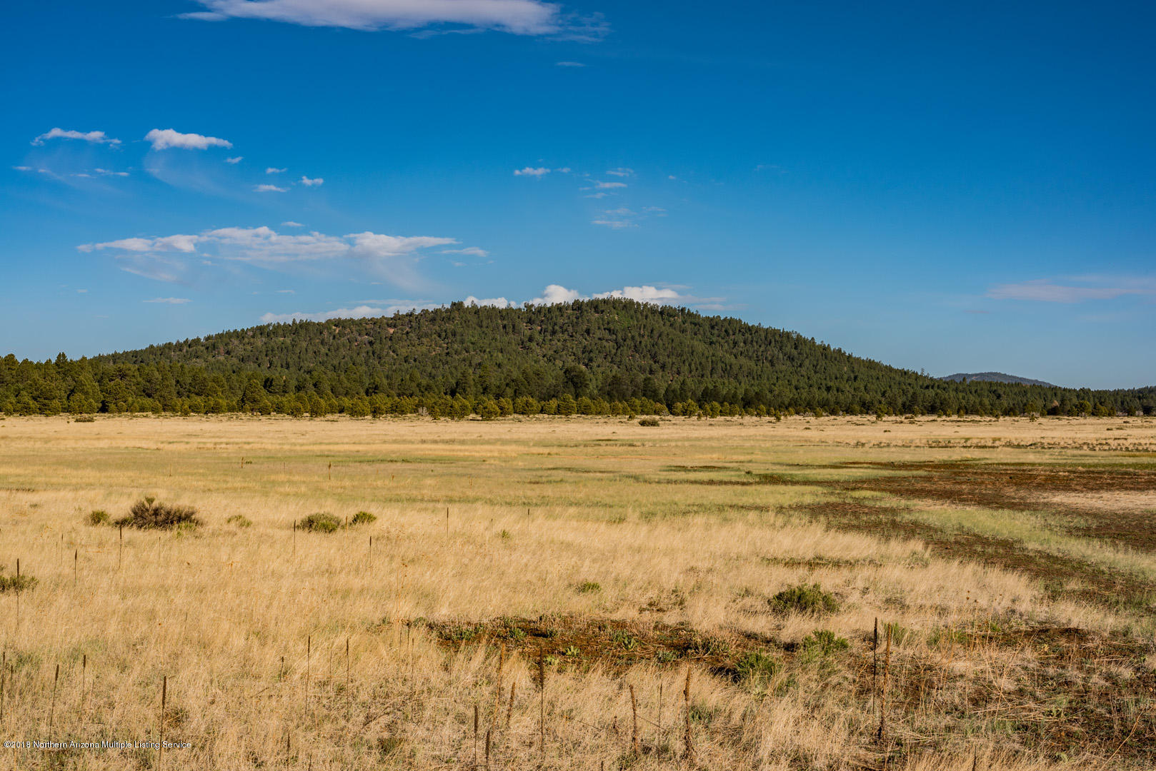 6313 Thomas Loop Road Parks, AZ 86005 - Photo 8 of 23 _DSC0298