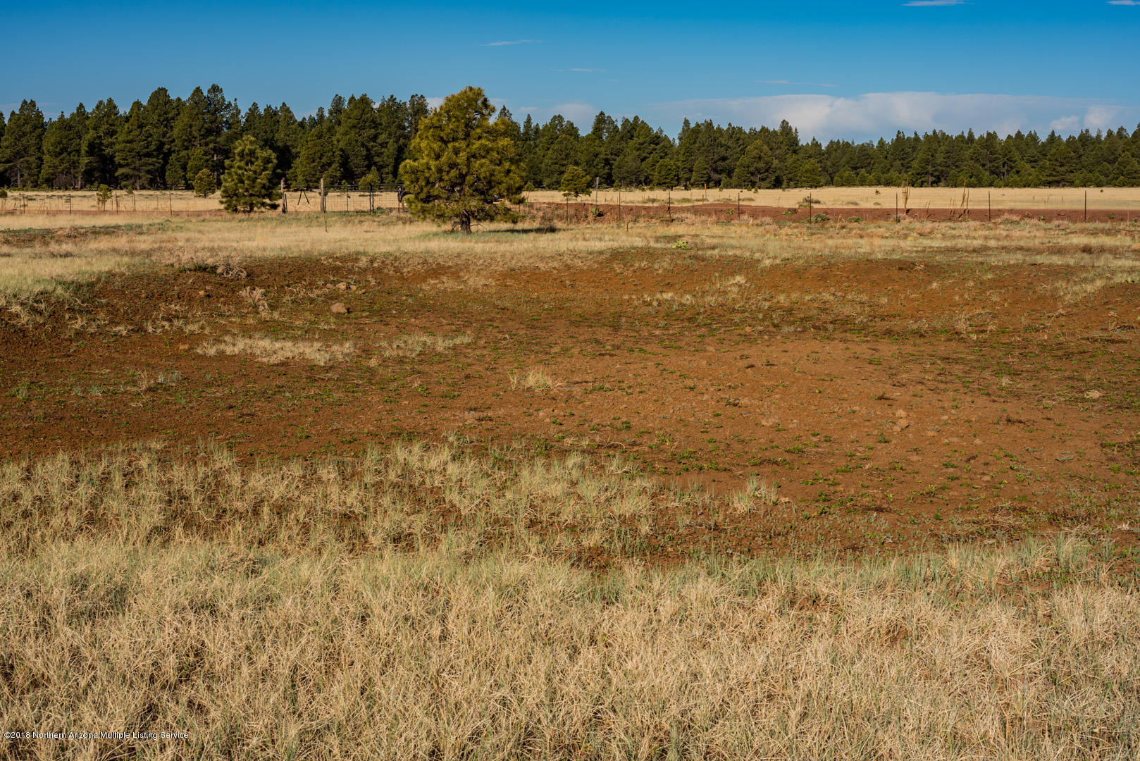 6313 Thomas Loop Road Parks, AZ 86005 - Photo 10 of 23 _DSC0301