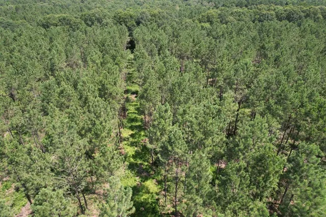 $367,500 | 3706 County Road 3706, Joaquin, TX 75954