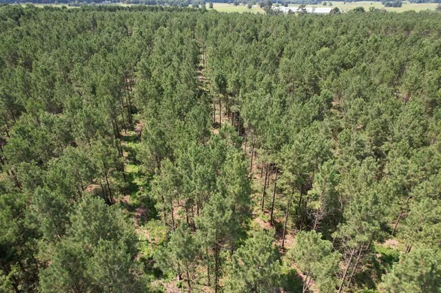 $367,500 | 3706 County Road 3706, Joaquin, TX 75954