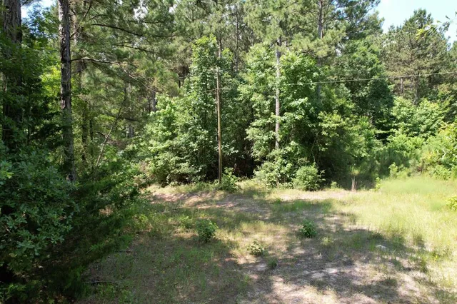 $367,500 | 3706 County Road 3706, Joaquin, TX 75954