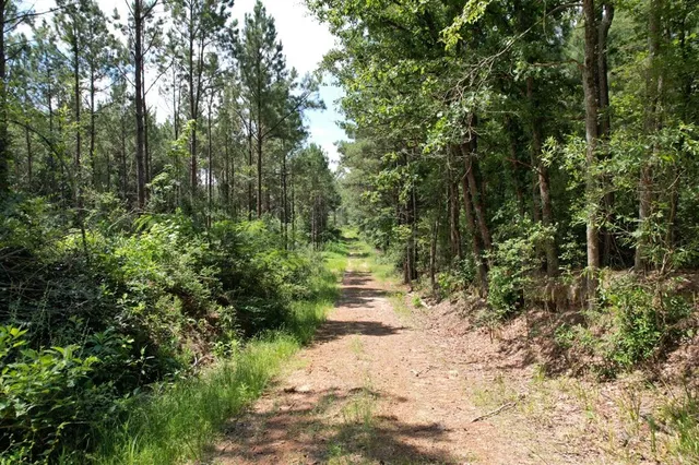 $367,500 | 3706 County Road 3706, Joaquin, TX 75954