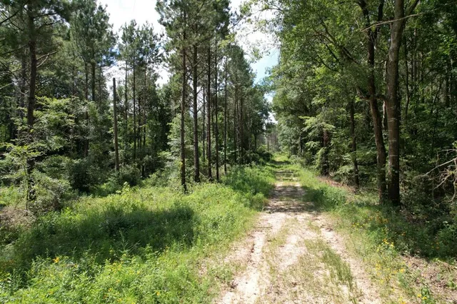 $367,500 | 3706 County Road 3706, Joaquin, TX 75954