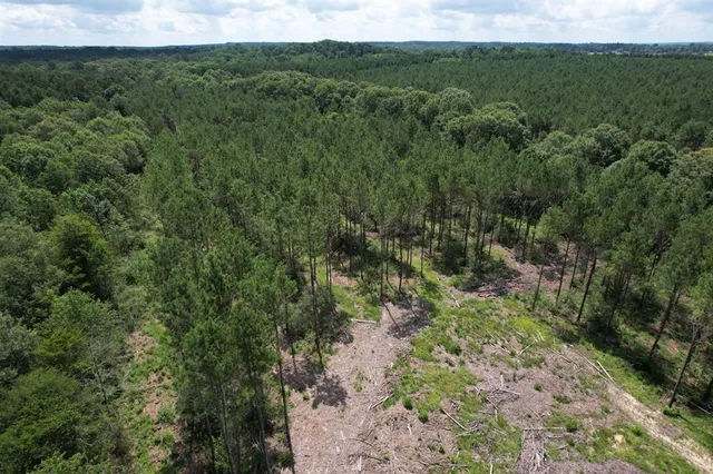 $367,500 | 3706 County Road 3706, Joaquin, TX 75954