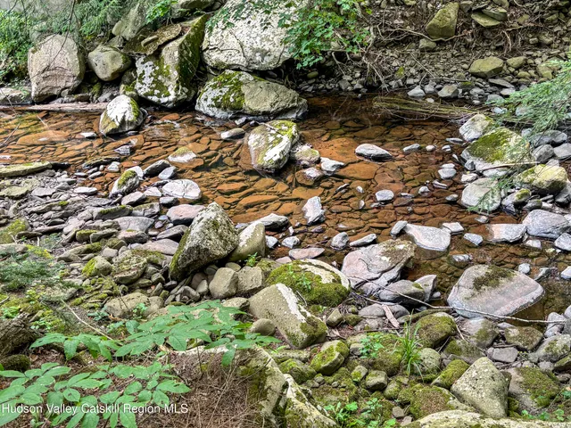 a view of a grassy field with trees