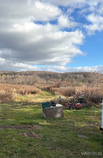 11156 Weaver Road Delevan, NY 14042 - Photo 16 of 19