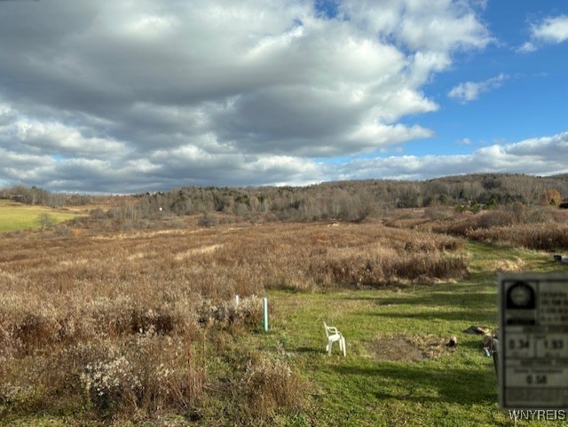 11156 Weaver Road Delevan, NY 14042 - Photo 18 of 19 White dot towards the left in the back is actual h