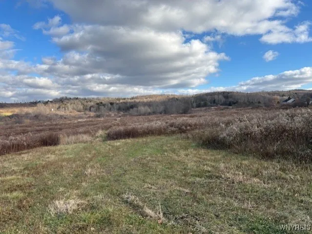 $250,000 | 11156 Weaver Road, Delevan, NY 14042