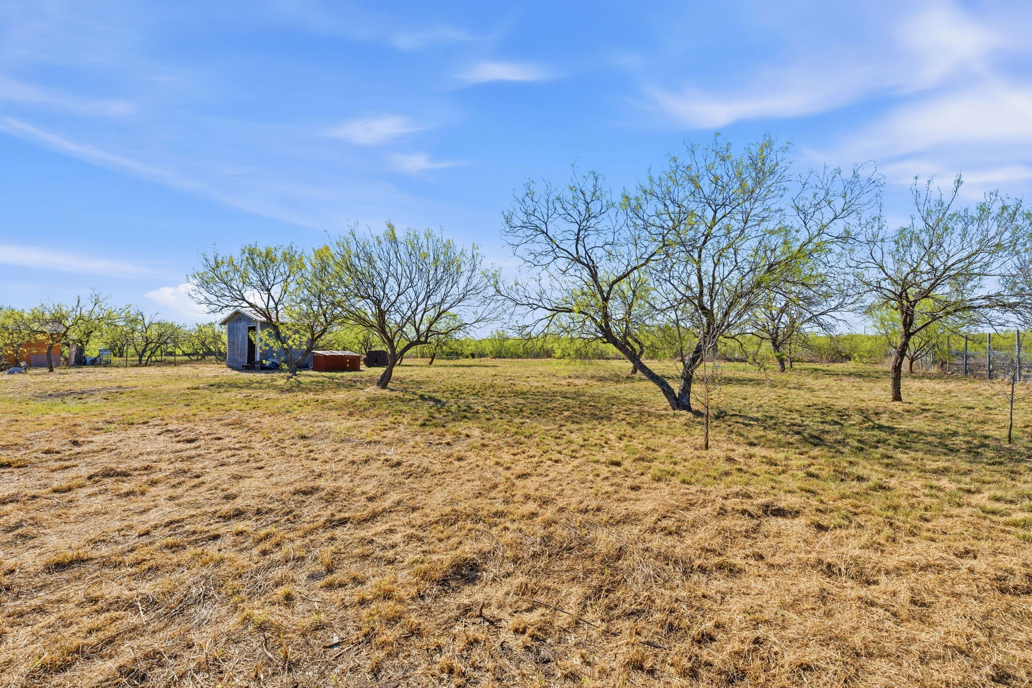 574 Highland Ranch Way Dale, TX 78616 - Photo 22 of 27 a view of yard