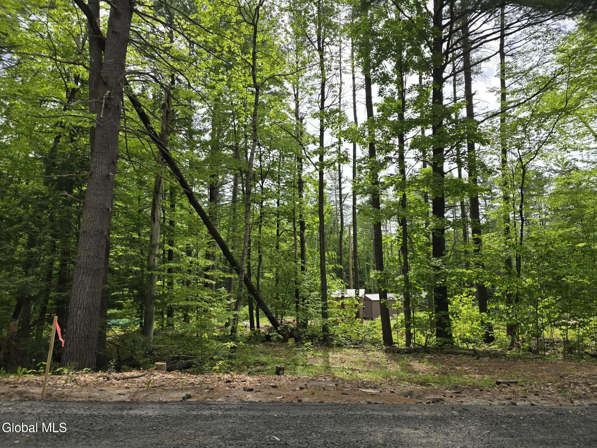 888 Landon Hill Road Chester, NY 12817 - Photo 5 of 15 att.3mvBvvVAtSK9su6XGWe4FUrKjM5I980e8EUt