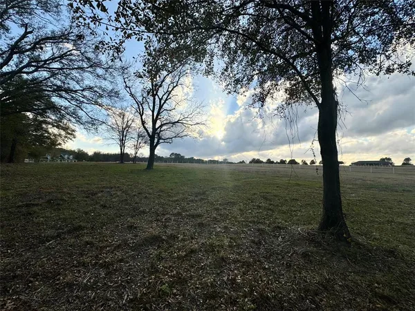 a view of a field with an trees