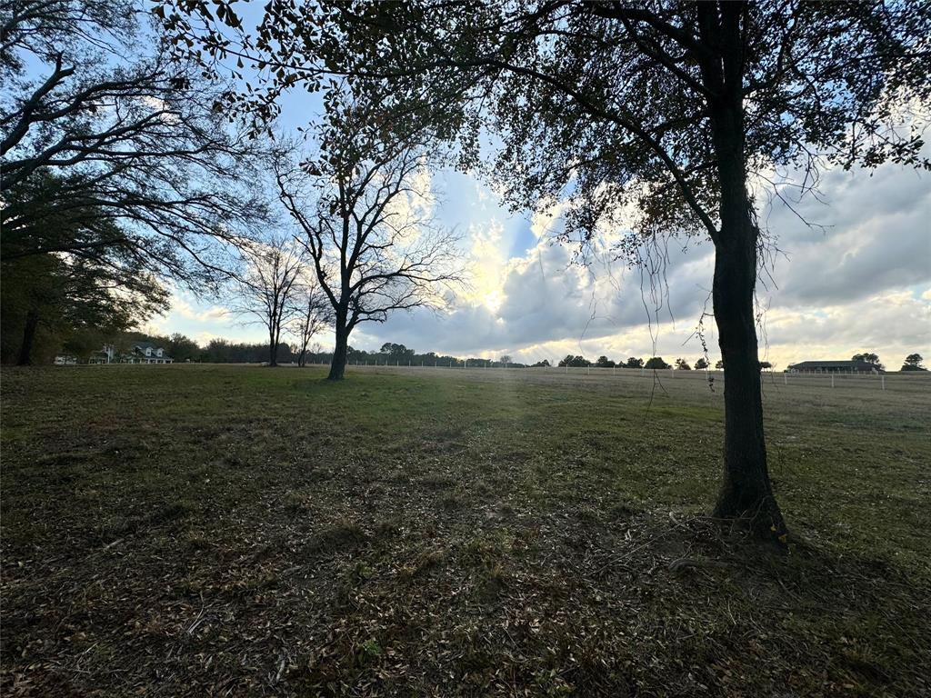 0 Pine Ridge Court Athens, TX 75752 - Photo 1 of 22 a view of a field with an trees
