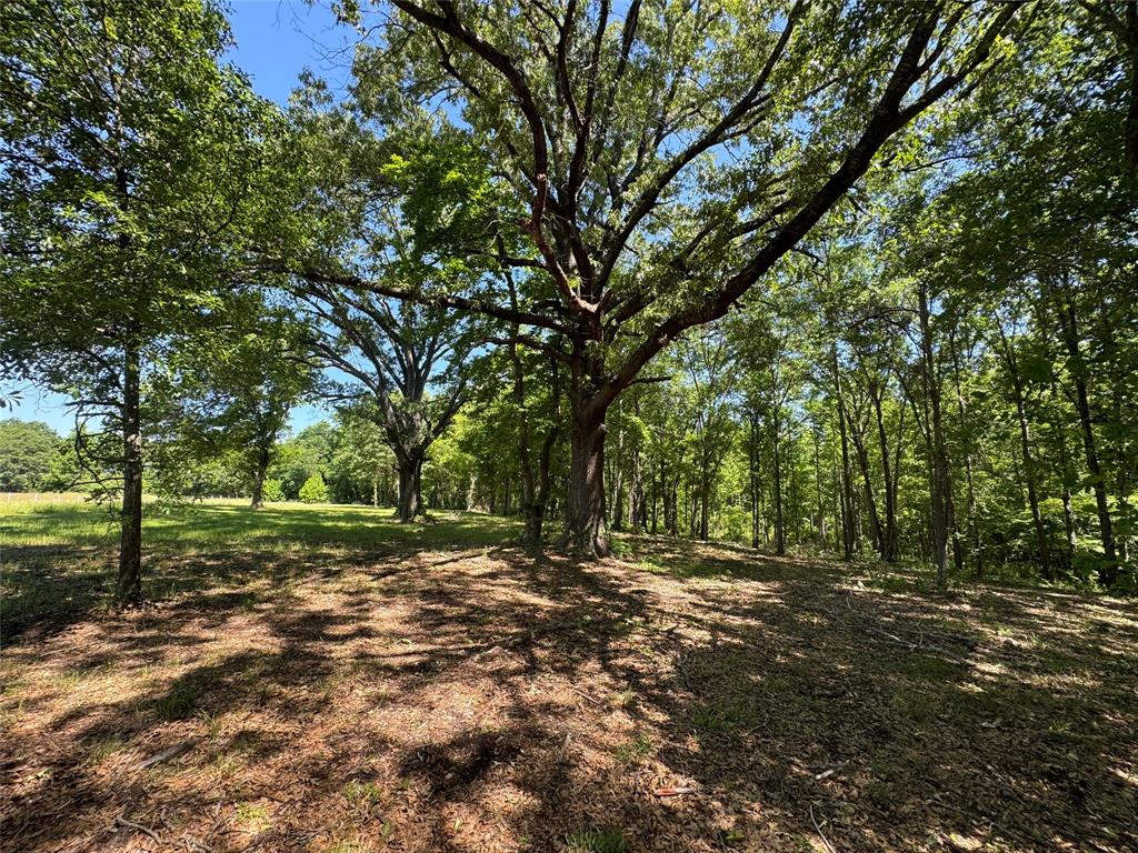 0 Pine Ridge Court Athens, TX 75752 - Photo 11 of 22 a view of outdoor space with trees
