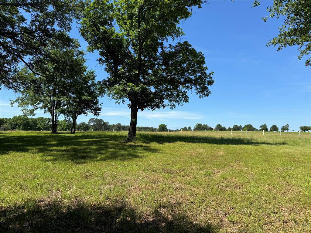 0 Pine Ridge Court Athens, TX 75752 - Photo 13 of 22 a view of a lake with a big yard