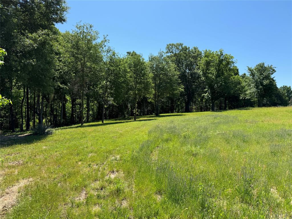 0 Pine Ridge Court Athens, TX 75752 - Photo 16 of 22 a view of basketball court