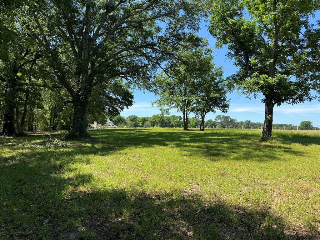 0 Pine Ridge Court Athens, TX 75752 - Photo 2 of 22 a view of a golf course with a trees