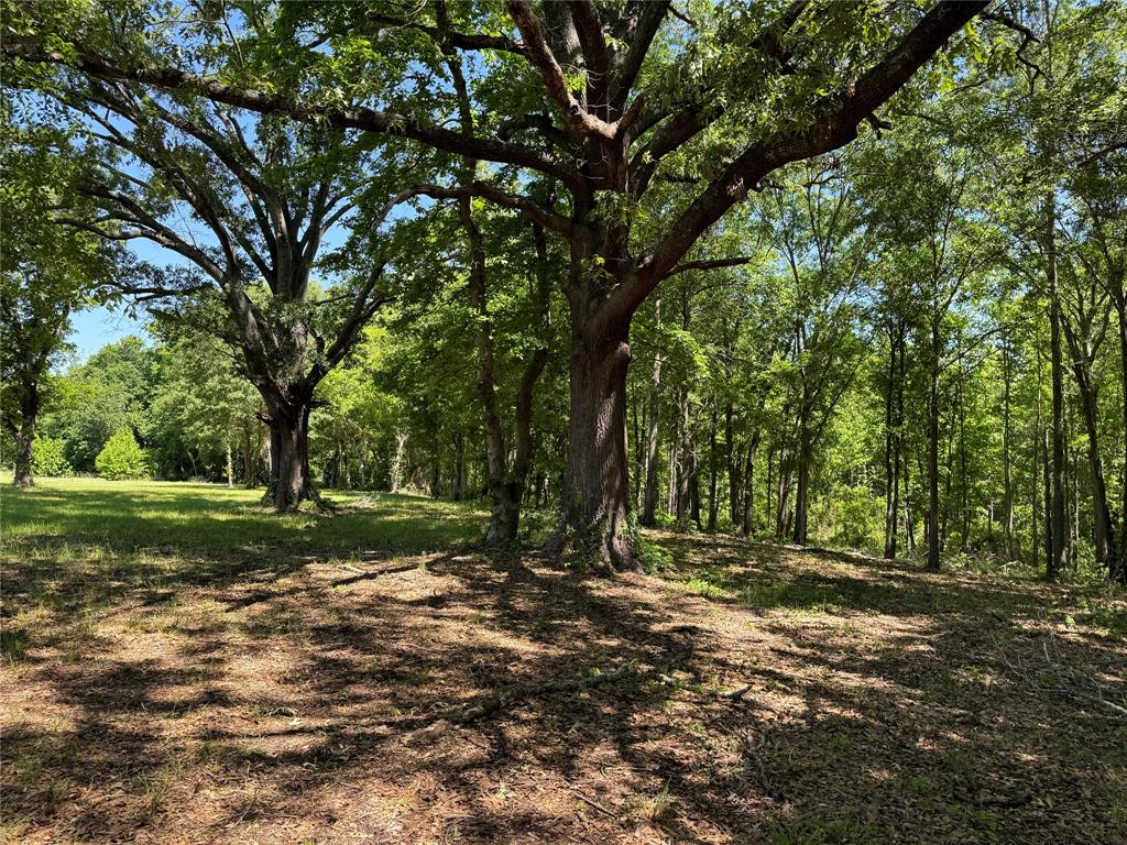 0 Pine Ridge Court Athens, TX 75752 - Photo 4 of 22 a view of outdoor space with trees