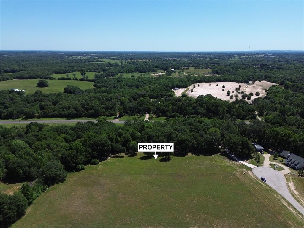 0 Pine Ridge Court Athens, TX 75752 - Photo 10 of 22 an aerial view of a house with a garden