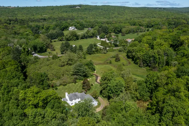 a view of a big yard with lots of trees