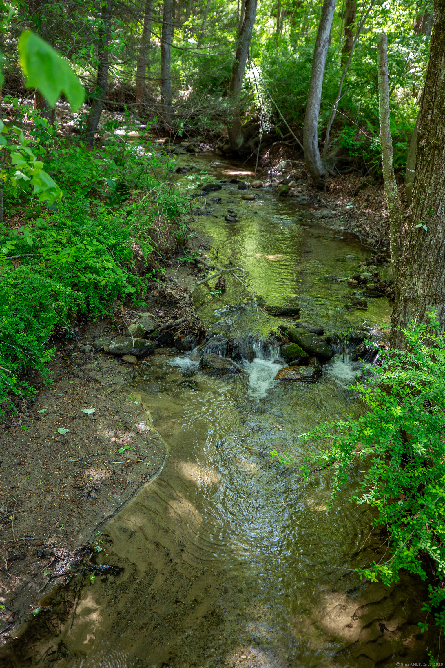 286 South Street Roxbury, CT 06783 - Photo 23 of 36 a view of a lush green space