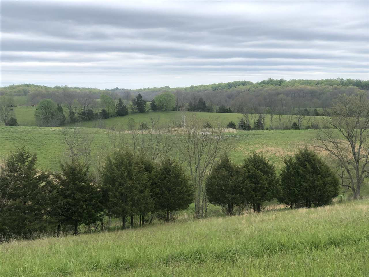 Old Monterey Road Owenton, KY 40359 - Photo 8 of 40 Gallery Image 8