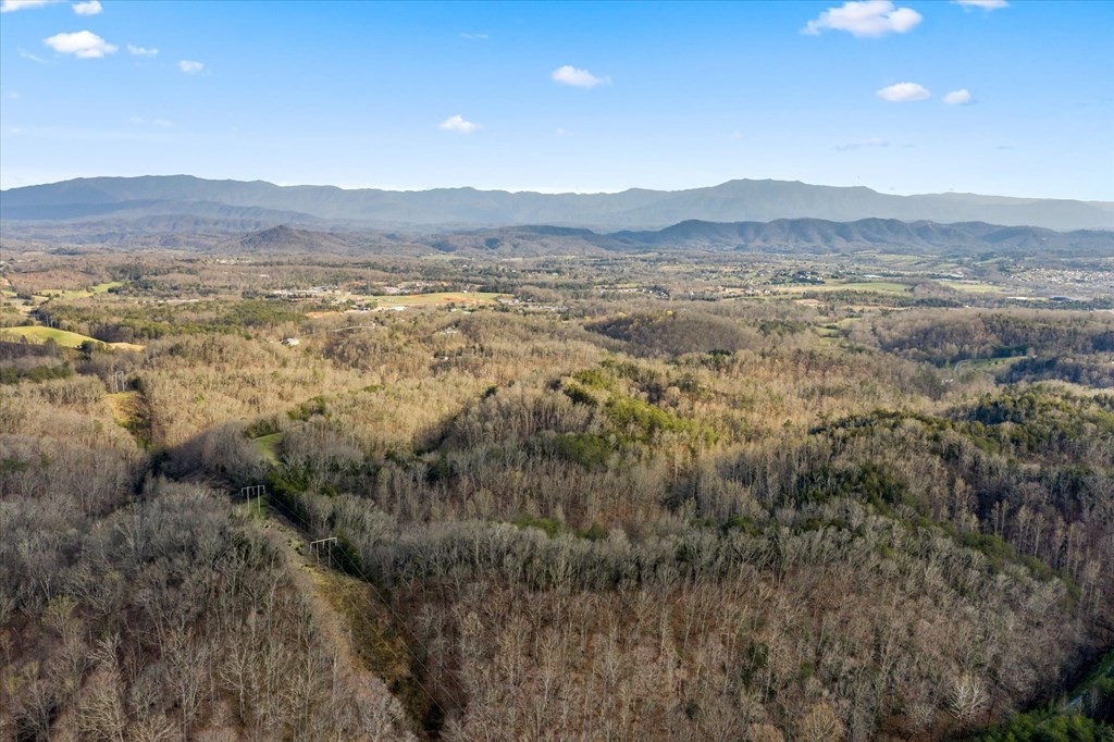 0 Lane Hollow Road Sevierville, TN 37876 - Photo 6 of 7