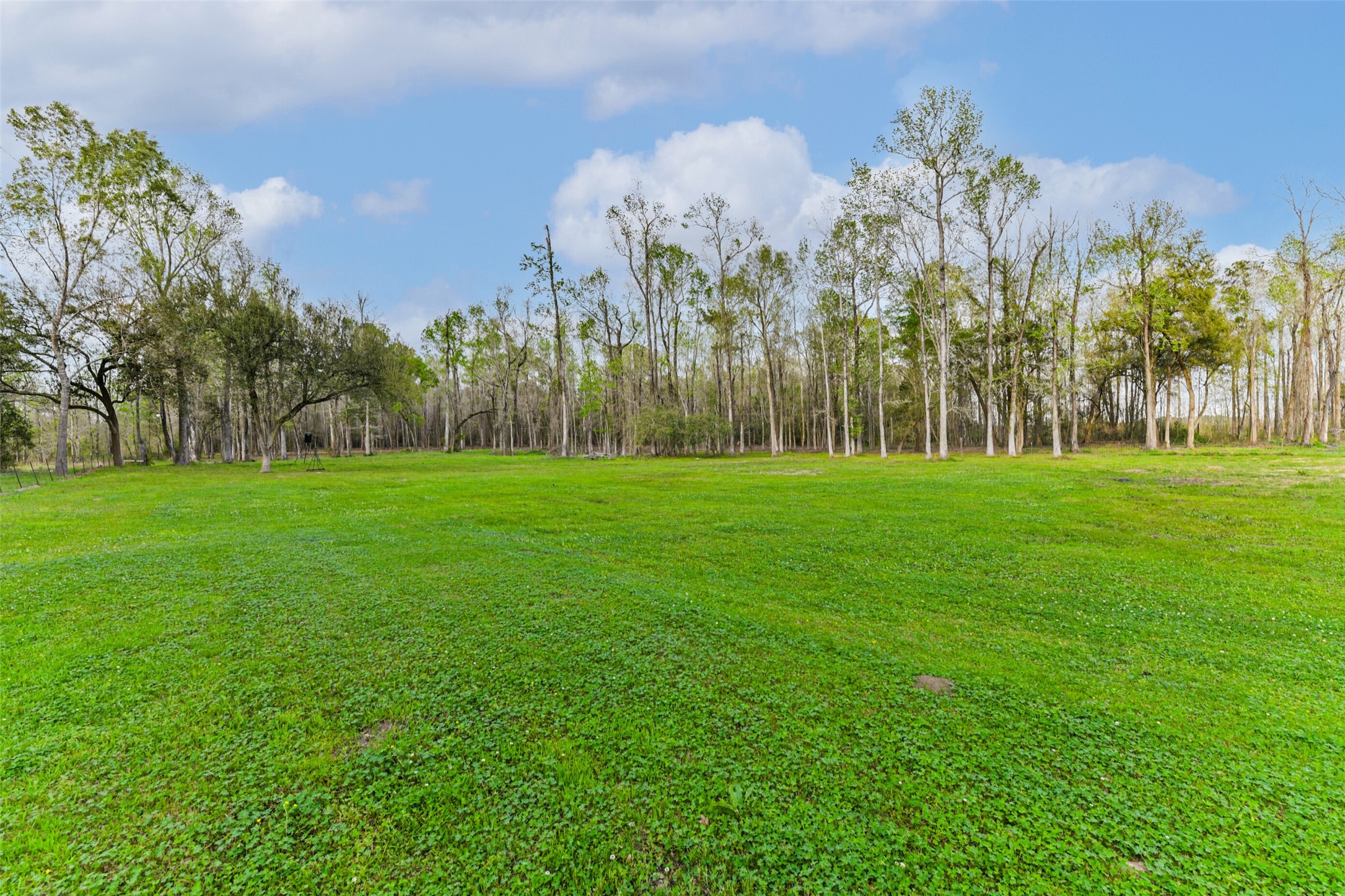 17700 Fregia Road Hull, TX 77564 - Photo 40 of 42