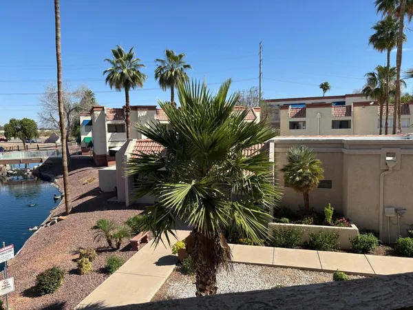 a palm tree sitting in front of a house
