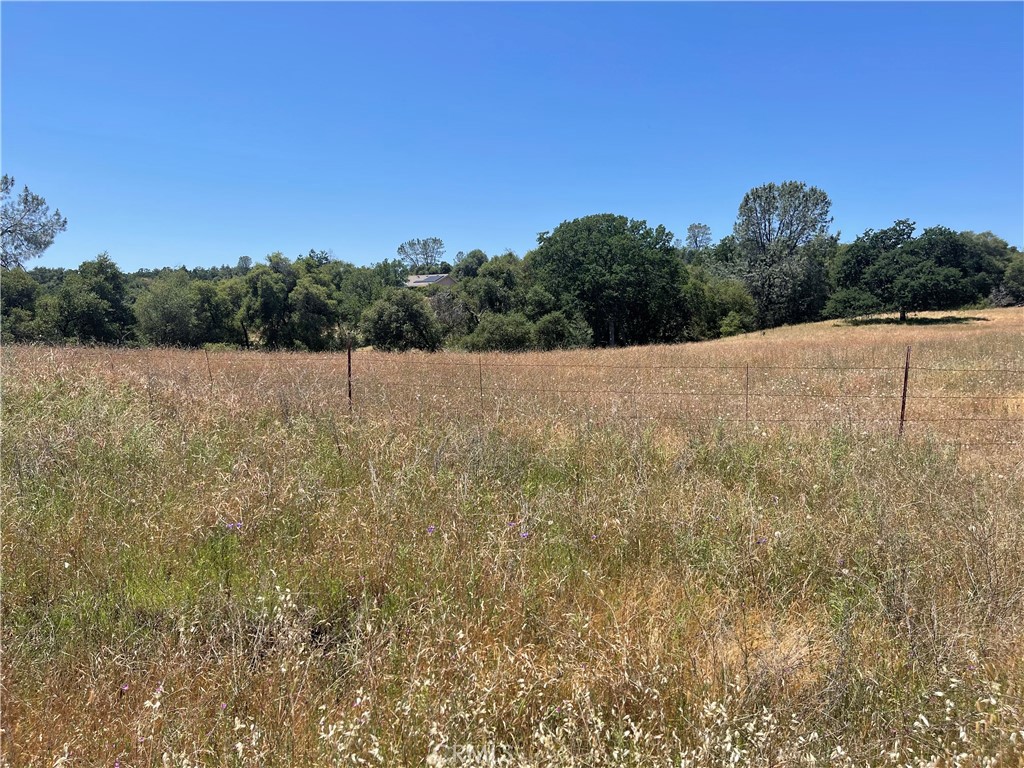24 Rancho Ramon Court Coarsegold, CA 93614 - Photo 1 of 1 Gallery Image 1