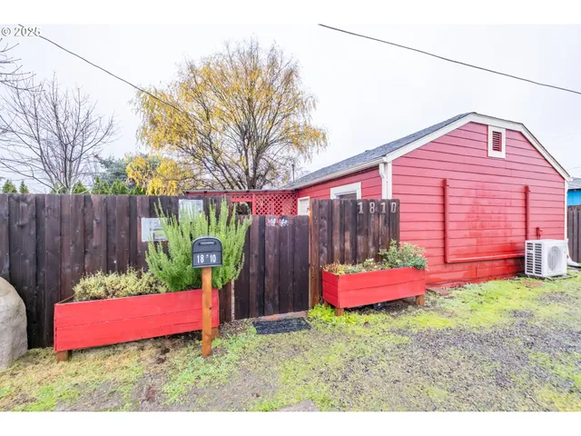 a view of a backyard with large tree and wooden fence
