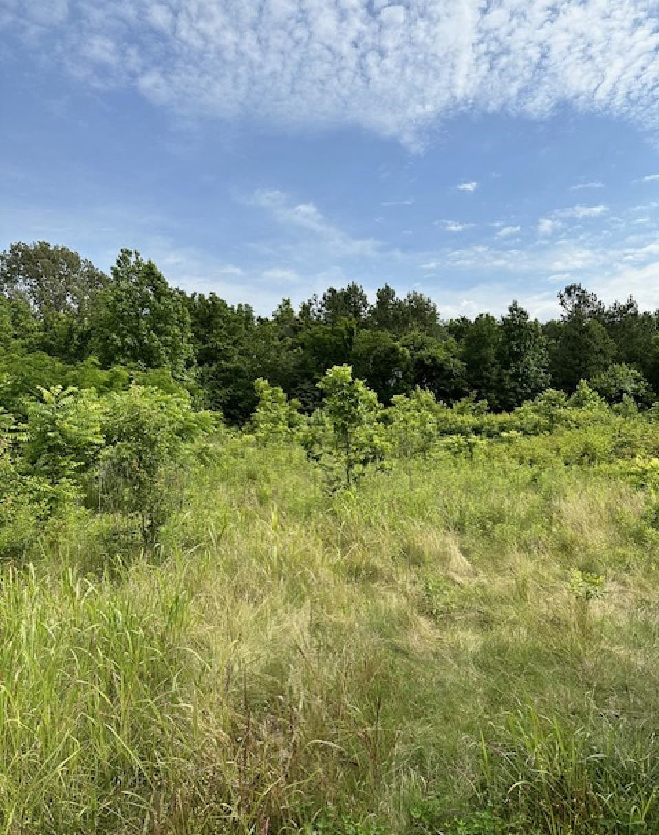 213 Laneview-Concord Road Trenton, TN 38382 - Photo 1 of 3 Photo 1