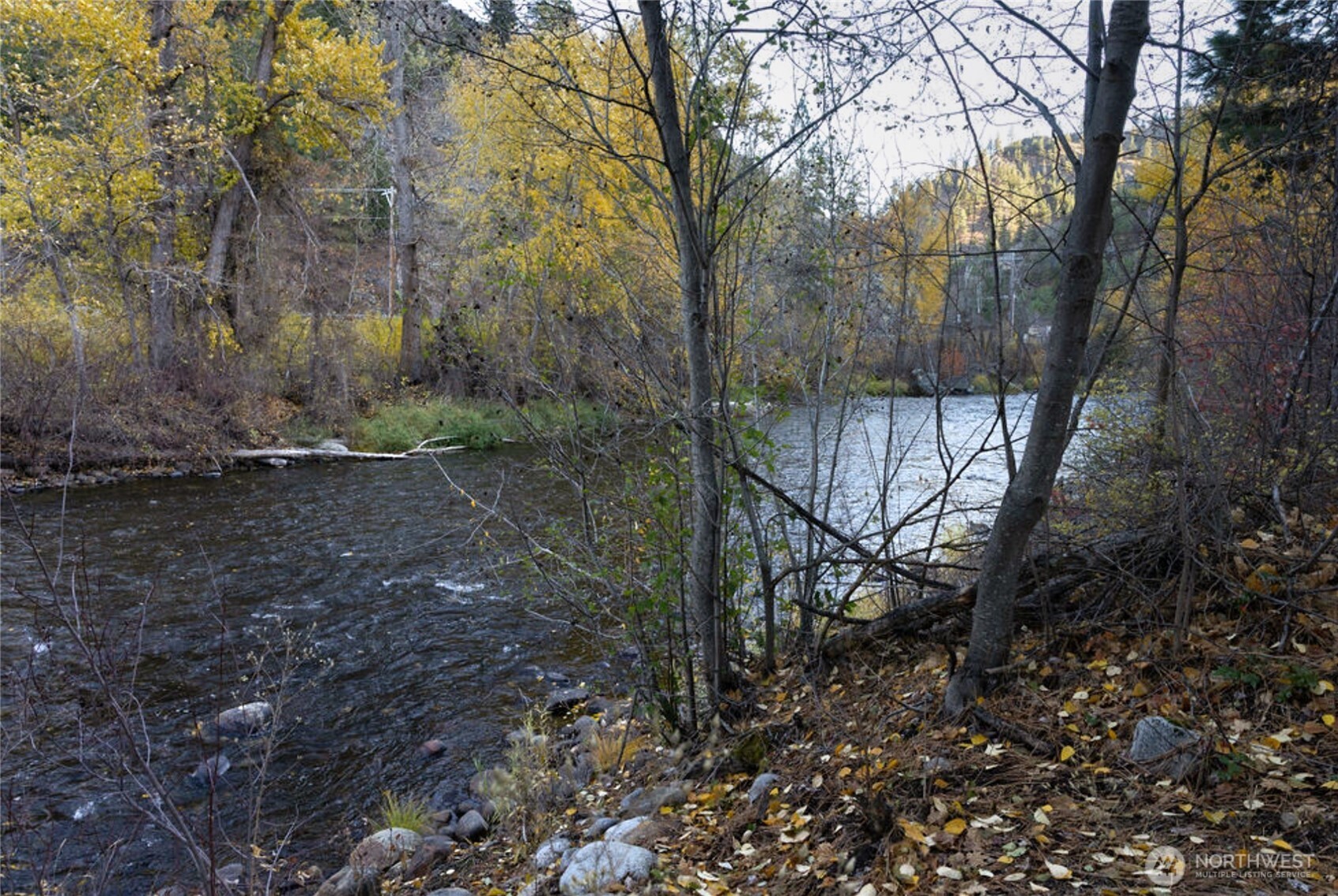 309 Mad Ranch Lane Entiat, WA 98822 - Photo 11 of 15 a view of a forest with trees