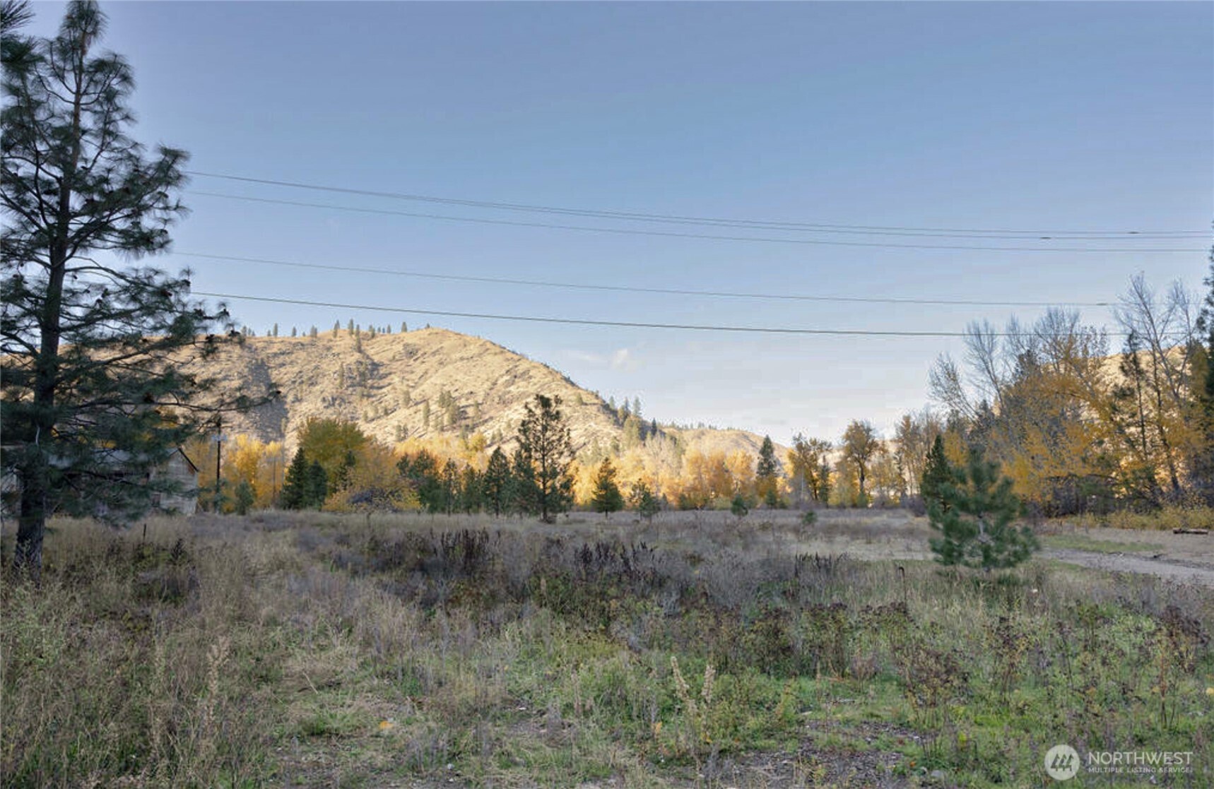 309 Mad Ranch Lane Entiat, WA 98822 - Photo 12 of 15 a view of a dry yard with trees