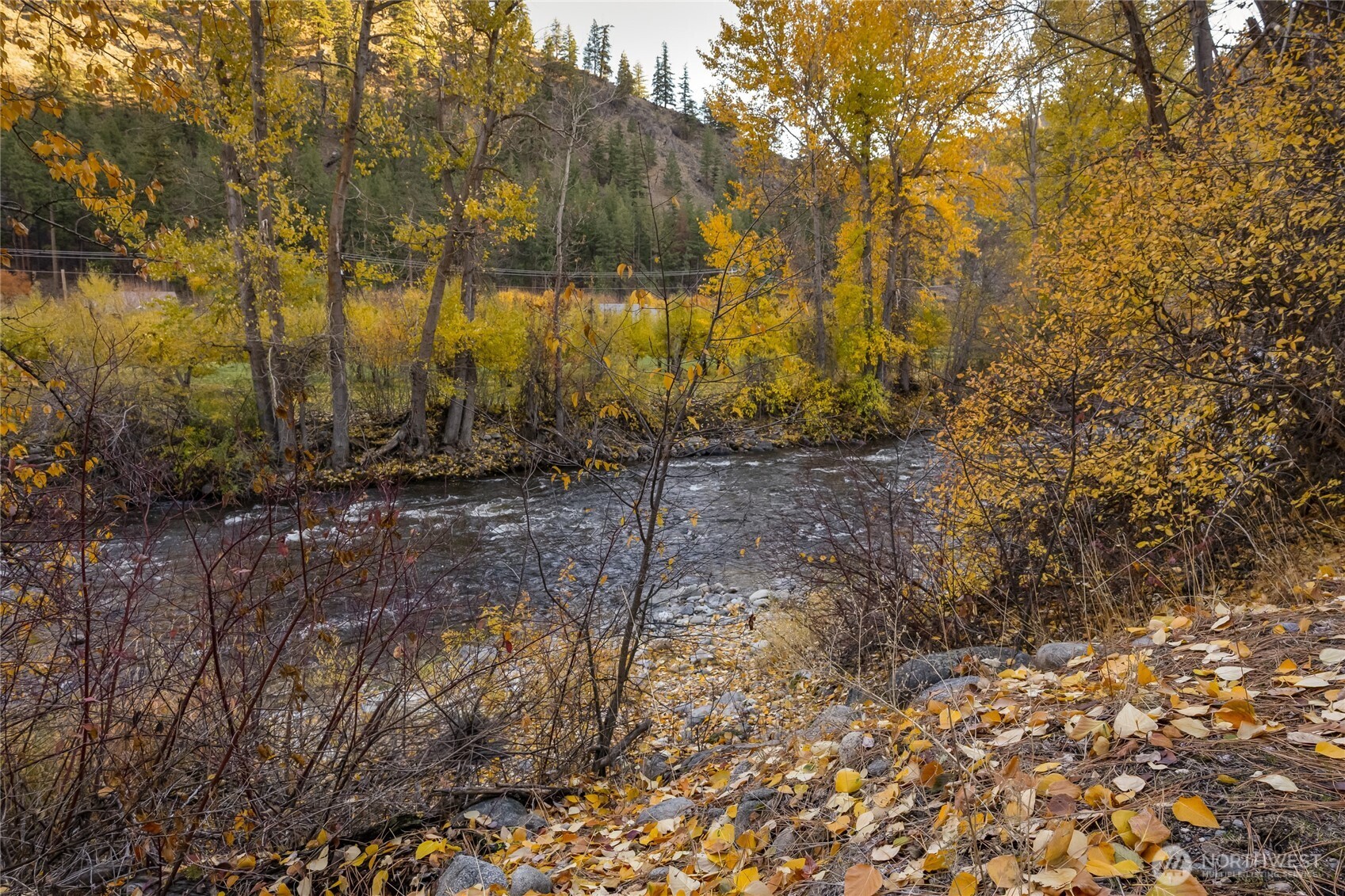 309 Mad Ranch Lane Entiat, WA 98822 - Photo 2 of 15 a backyard of a house with lots of green space