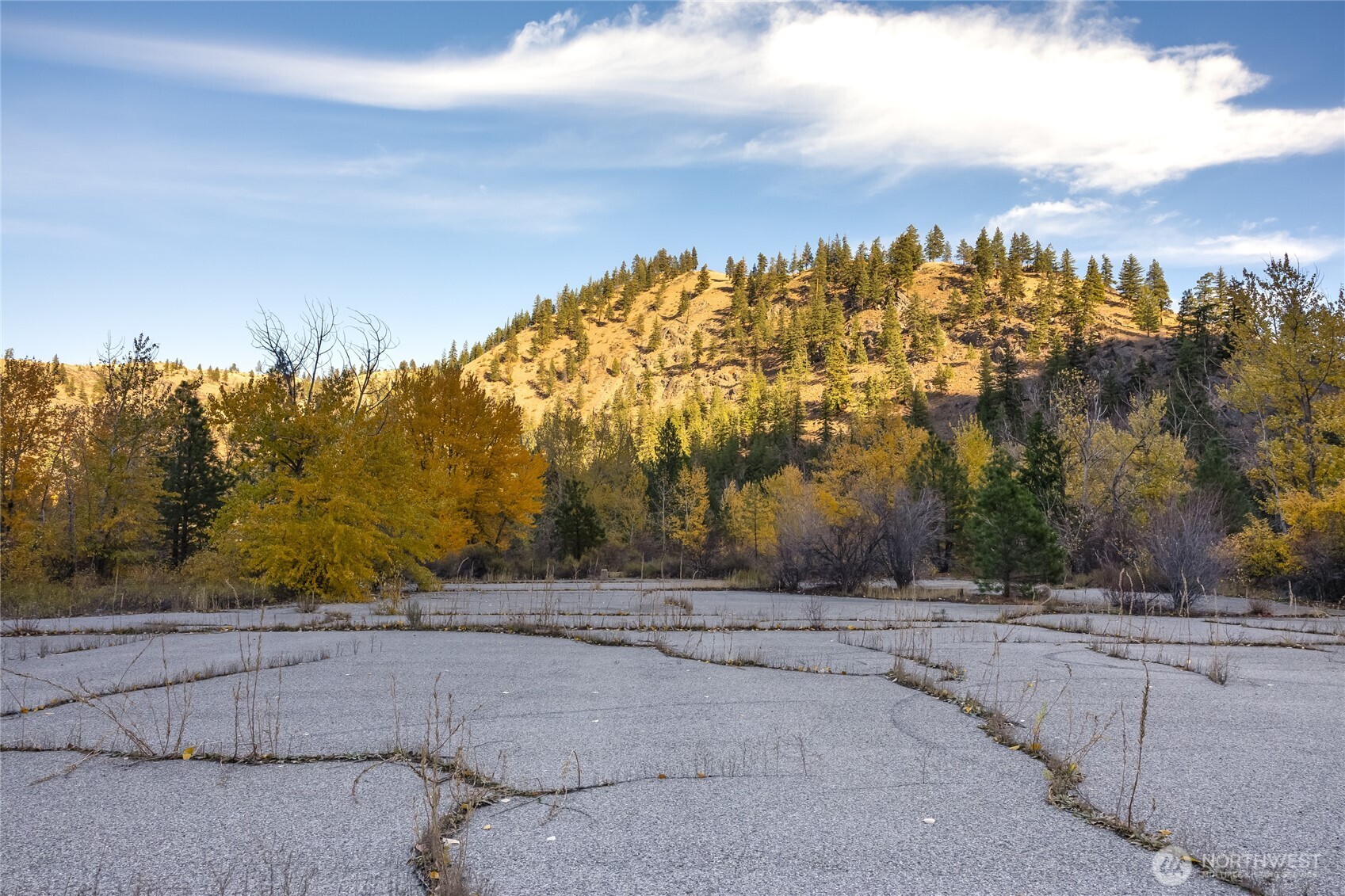 309 Mad Ranch Lane Entiat, WA 98822 - Photo 6 of 15 a view of a yard and mountains