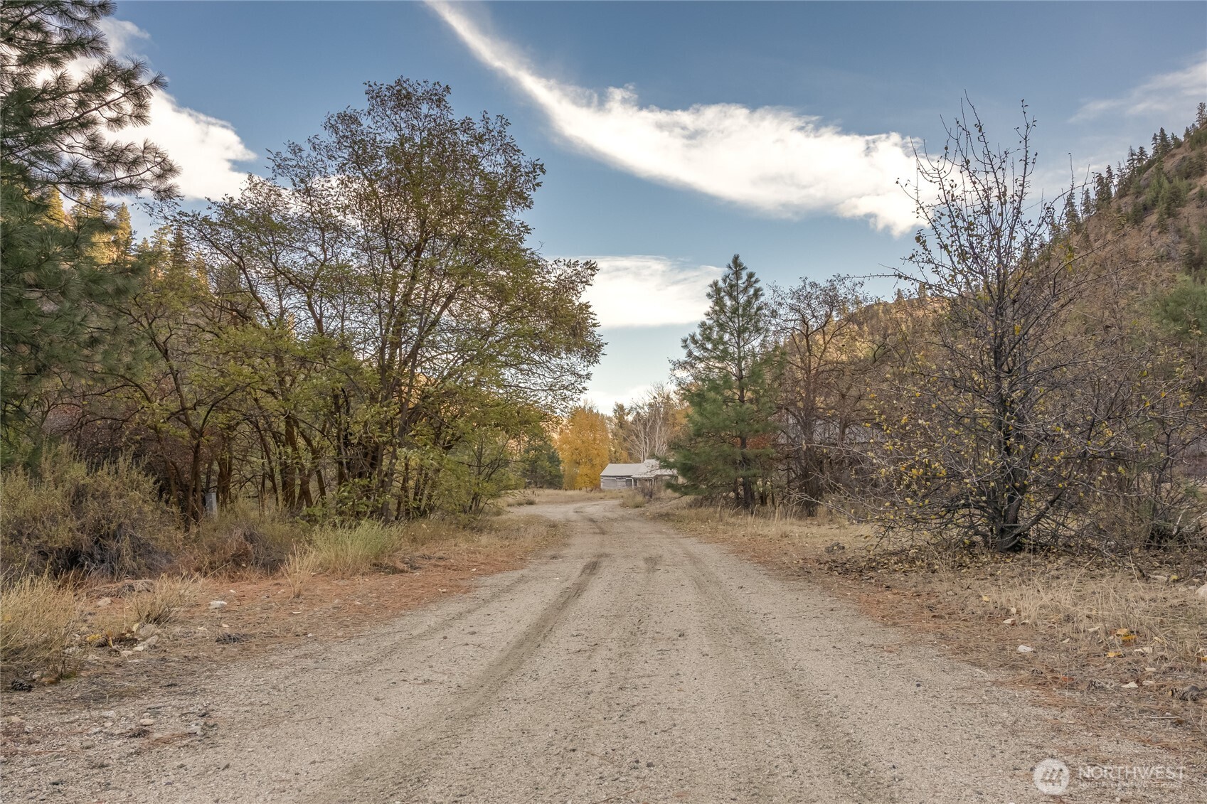 309 Mad Ranch Lane Entiat, WA 98822 - Photo 7 of 15 a view of a dirt road with large trees