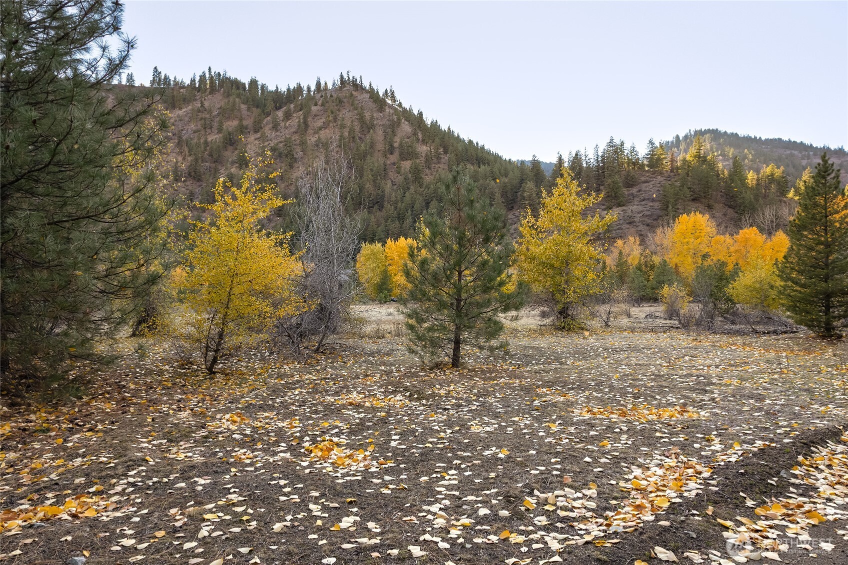 309 Mad Ranch Lane Entiat, WA 98822 - Photo 8 of 15 a view of mountain view with lots of bushes