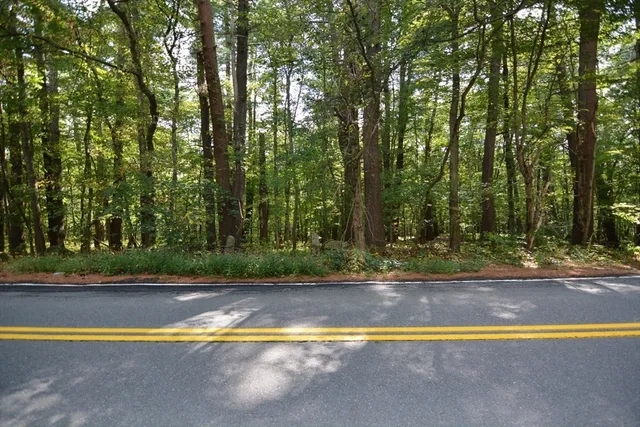 a view of swimming pool with a yard