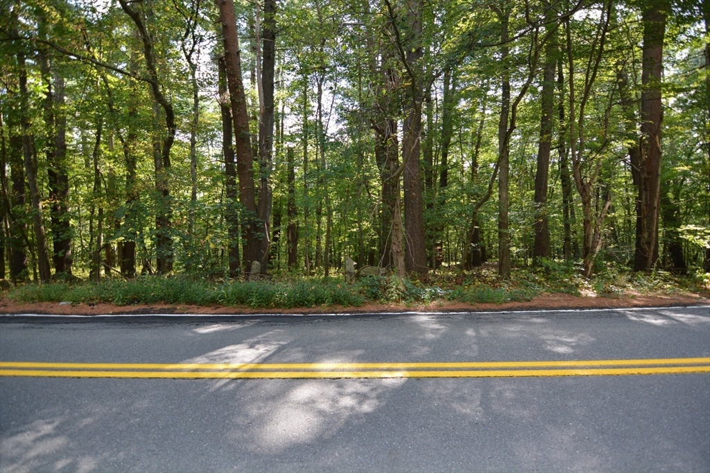 a view of swimming pool with a yard