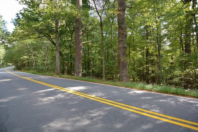 a view of a road with a trees
