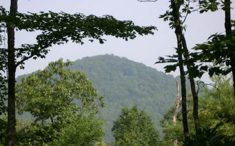 Lot 6 Berry Hl Road Murphy, NC 28906 - Photo 1 of 1 Main View