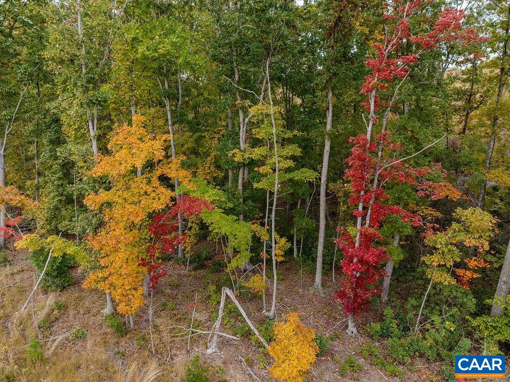 0 Chestnut Grove Road Esmont, VA 22937 - Photo 11 of 28 Gallery Image 11