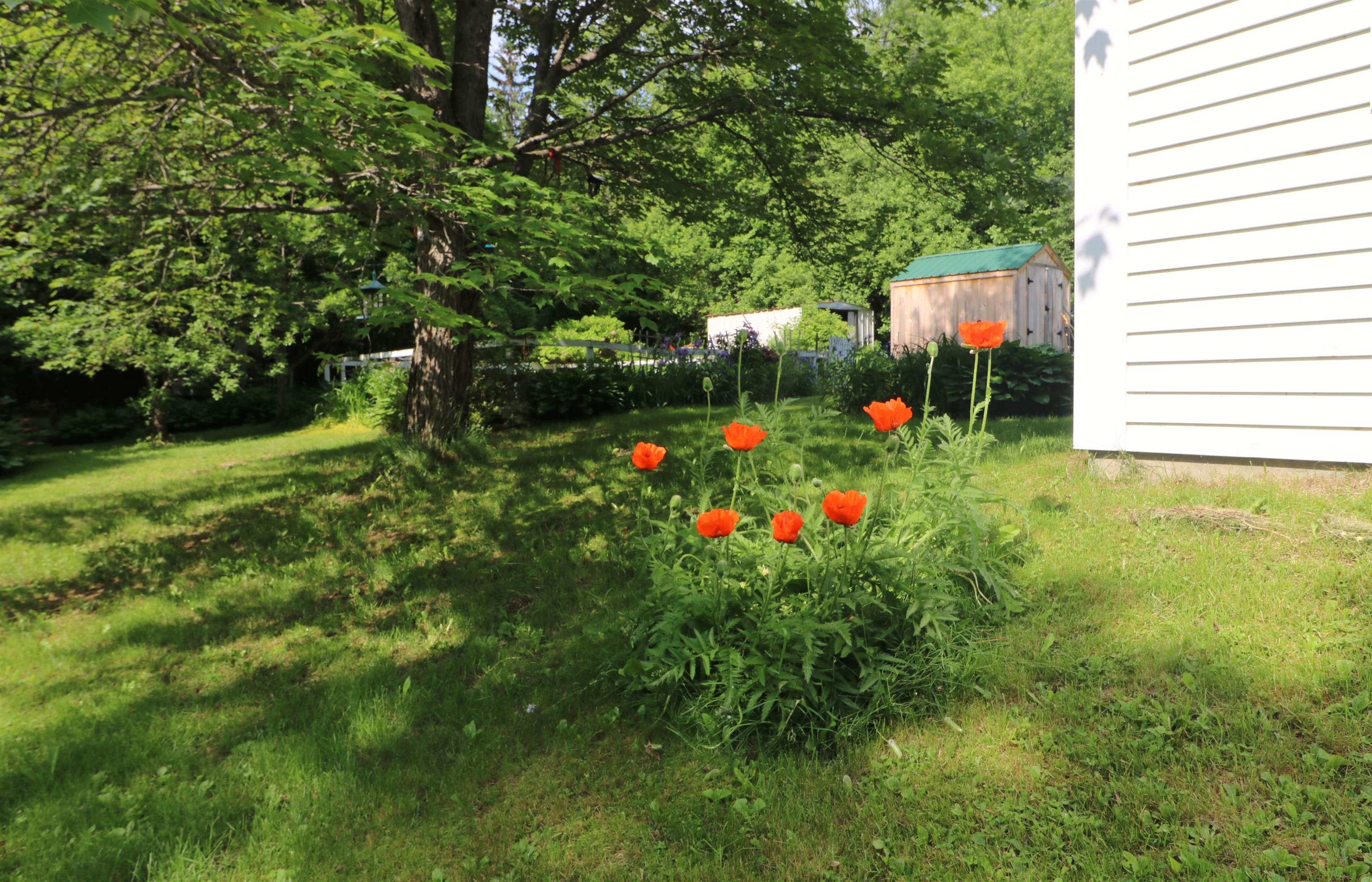 489 Milan Hill Road Milan, NH 03588 - Photo 19 of 24