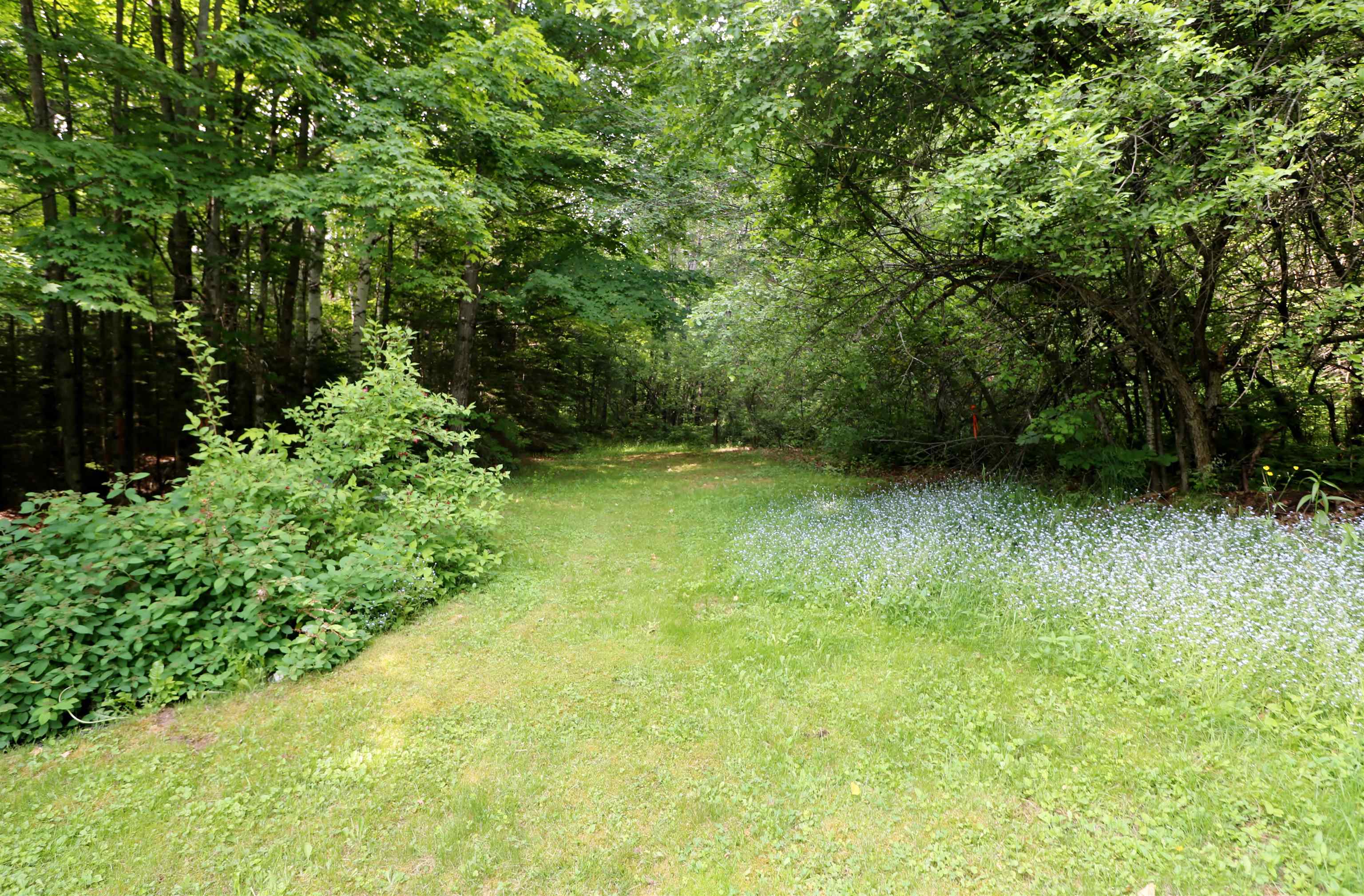 489 Milan Hill Road Milan, NH 03588 - Photo 23 of 24