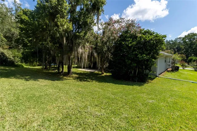 a view of a park with large trees
