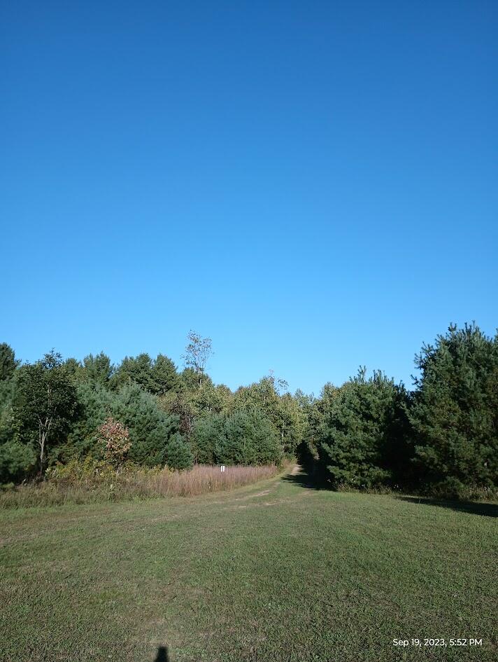 11630 Hall Road Atlanta, MI 49709 - Photo 32 of 46 IMG_20230919_175219762