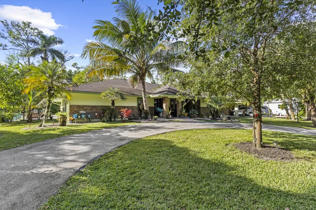 a view of a backyard with a tree