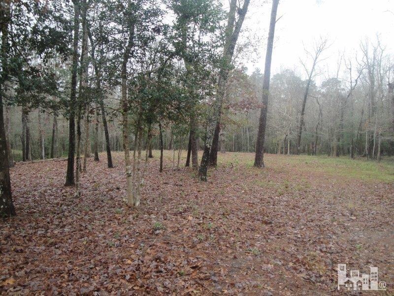 0 Corcus Ferry Road Hampstead, NC 28443 - Photo 3 of 8 Additional Photo
