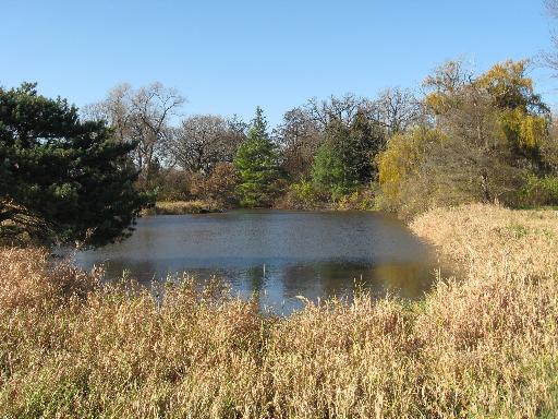 45W740 Ramm Road Maple Park, IL 60151 - Photo 10 of 12