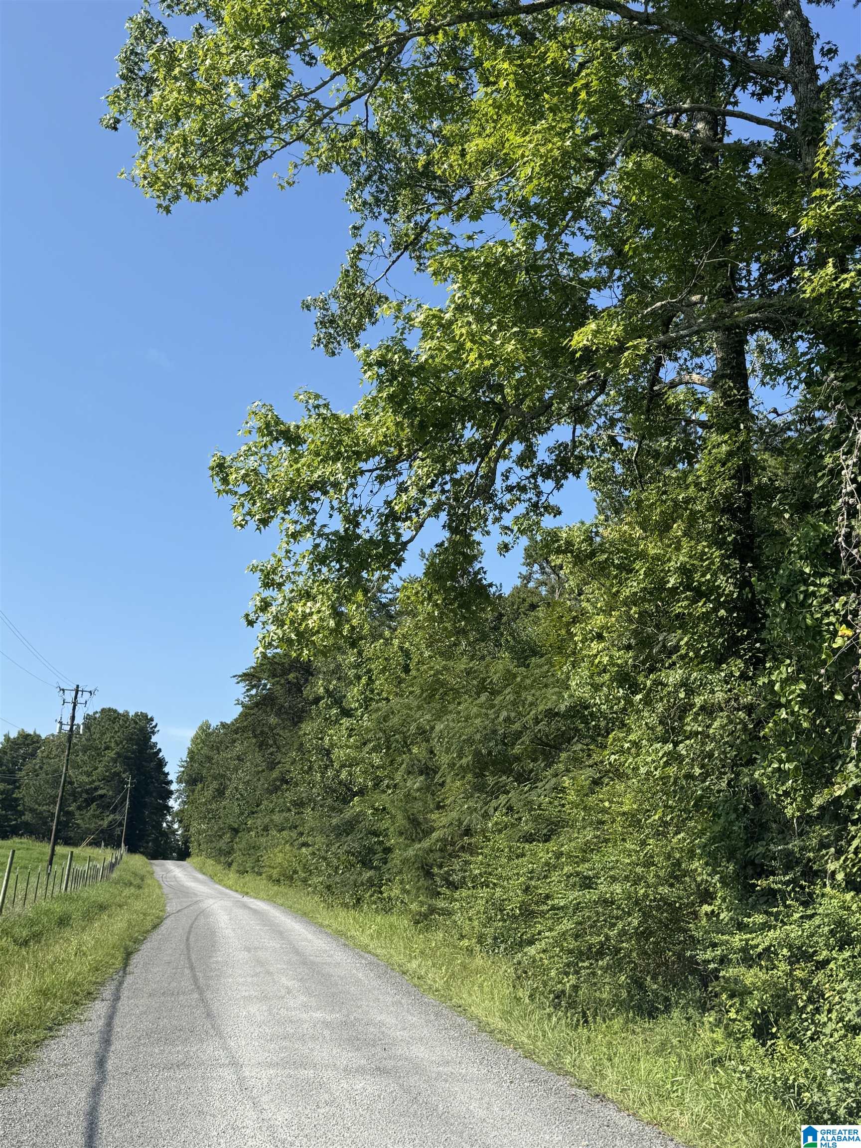 0 County Highway 27, Unit 47 Springville, AL 35146 - Photo 28 of 53